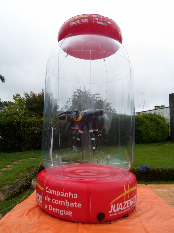 Globo Terrestre Inflável Comprar para Propaganda Parque do Carmo - Infláveis Decorativos