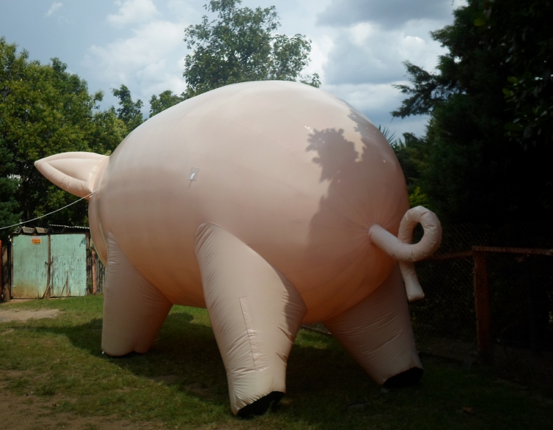 Preço Mascote Inflável Vinhedo - Fábrica de Mascotes Infláveis São Paulo